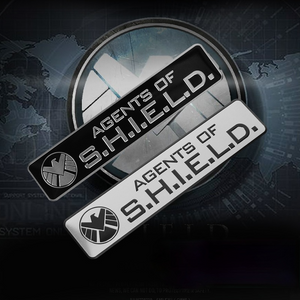 シールド SHIELD 車 ステッカー 車 金属 アルミニウム合金 スクラッチオクルージョン ステッカーの商品画像 1